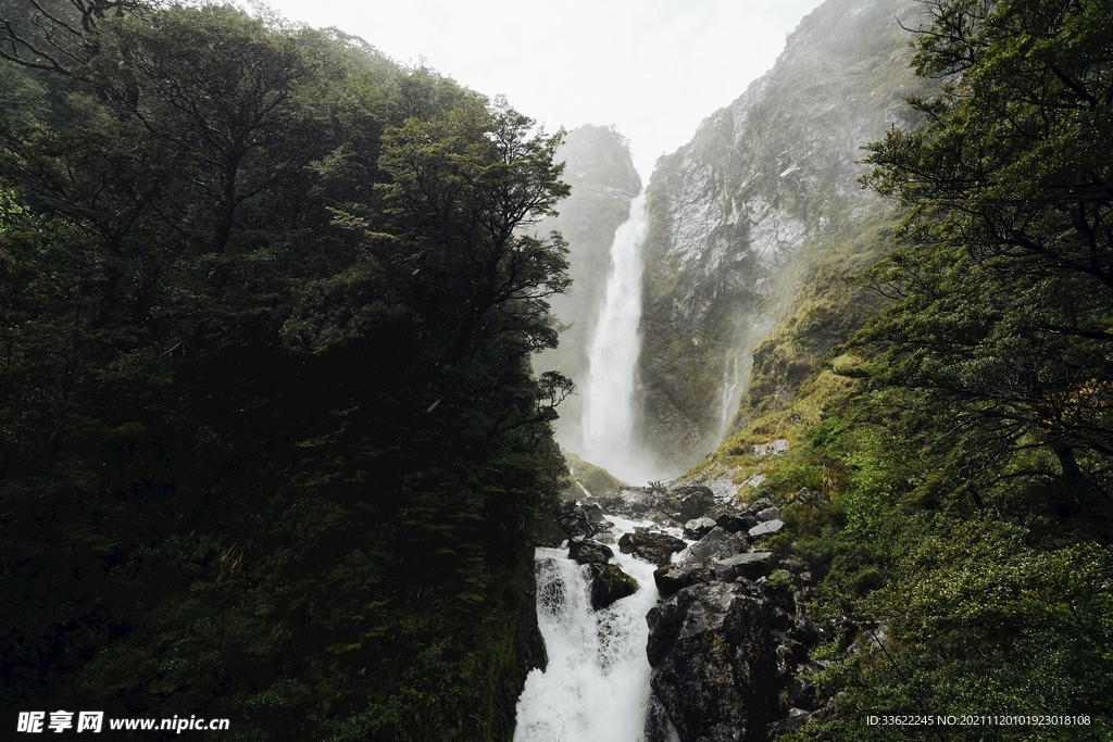 森林瀑布的低角度视图