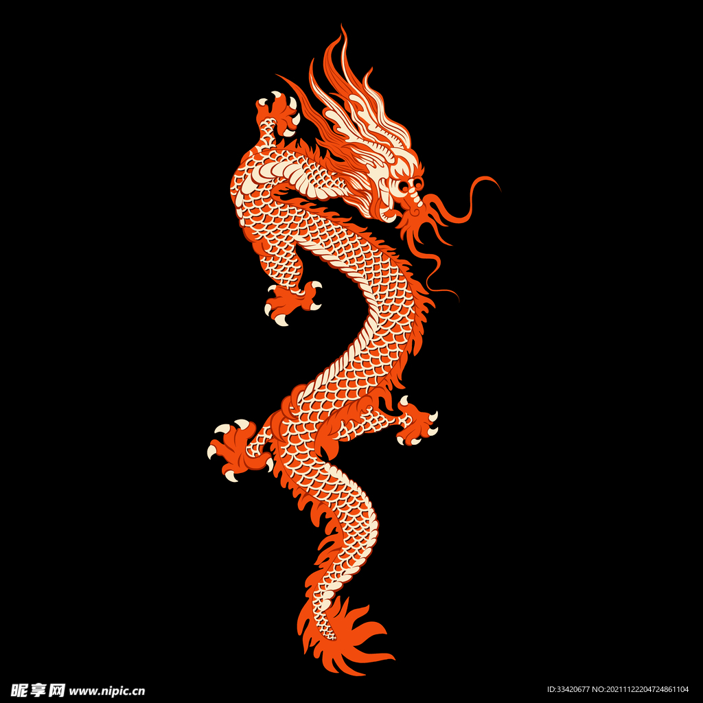 大牌 数码印花 龙