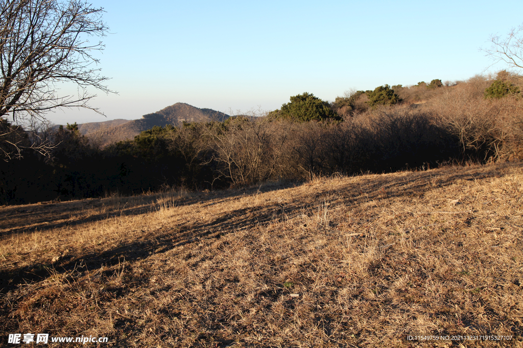 嵩顶草甸冬季景色