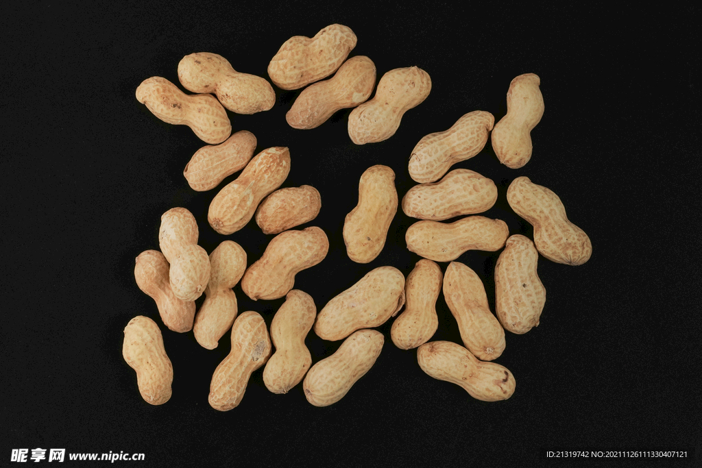 花生摄影素材