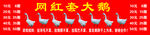 网红套大鹅