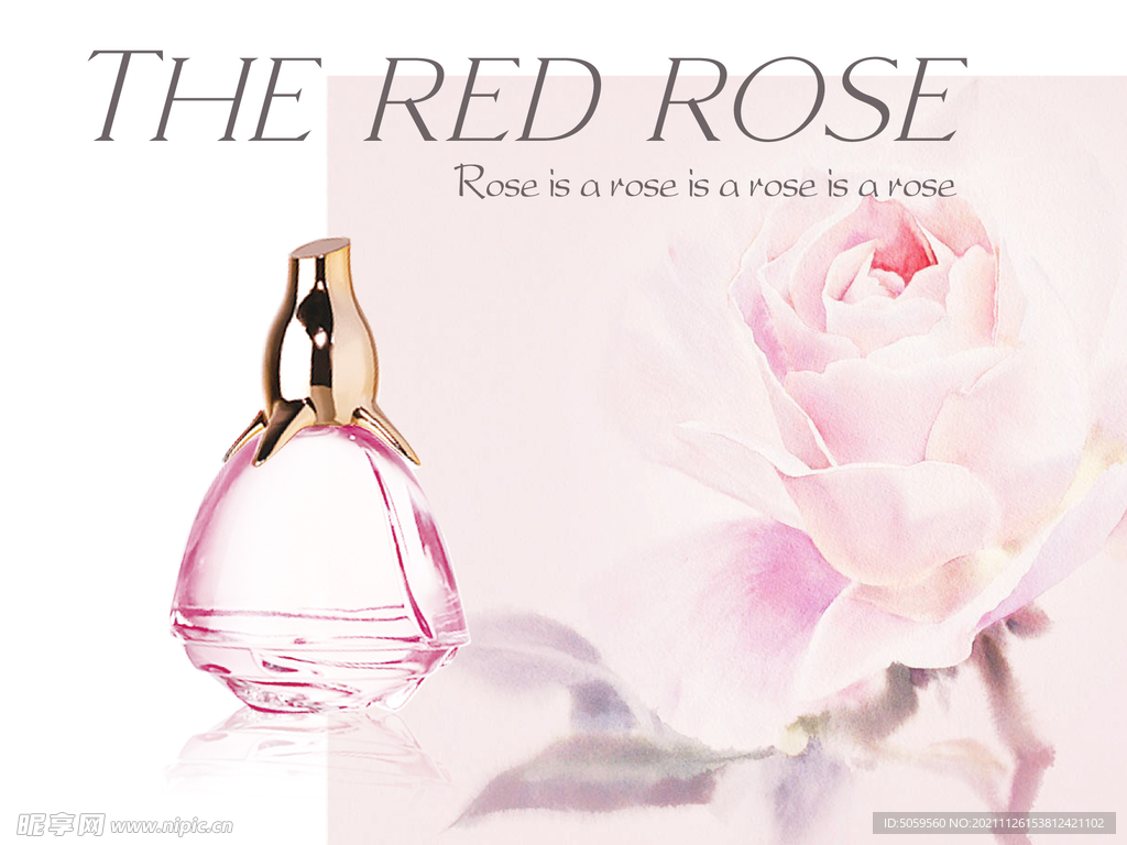 玫瑰插画海报
