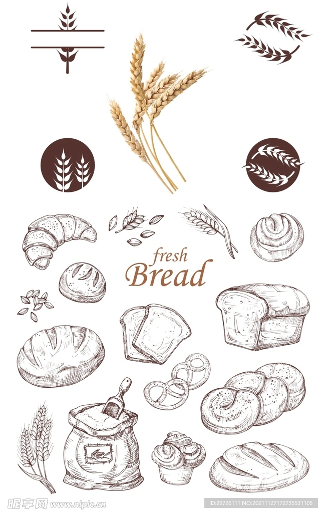 面粉 面包 线图 小麦