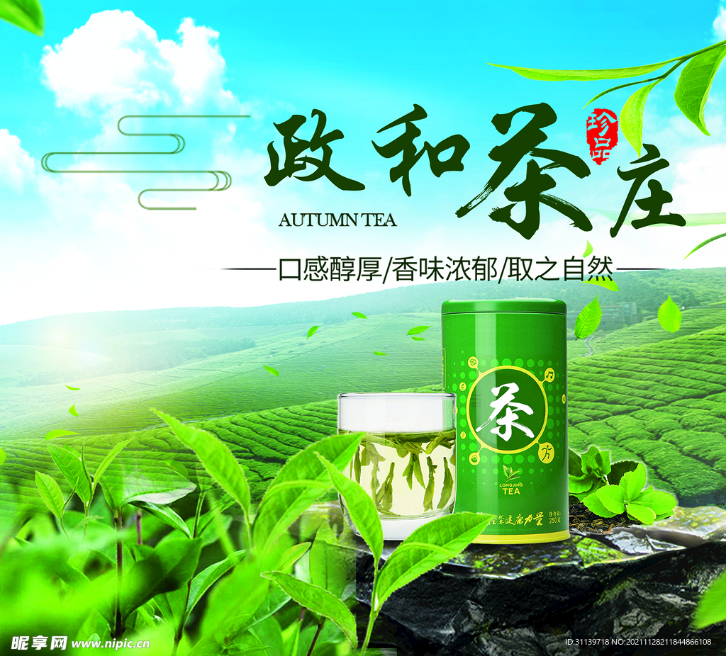 茶叶采茶茶园海报喷绘宣传单