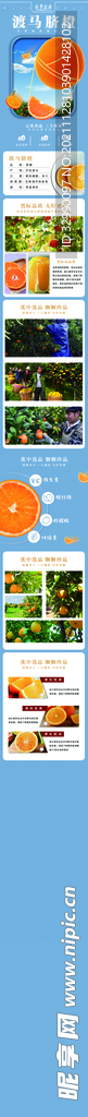橙子详情页