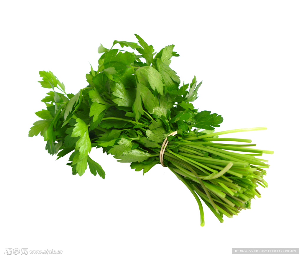 免扣香菜素材