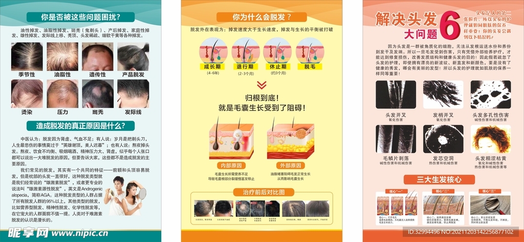 生发 养发 脱发