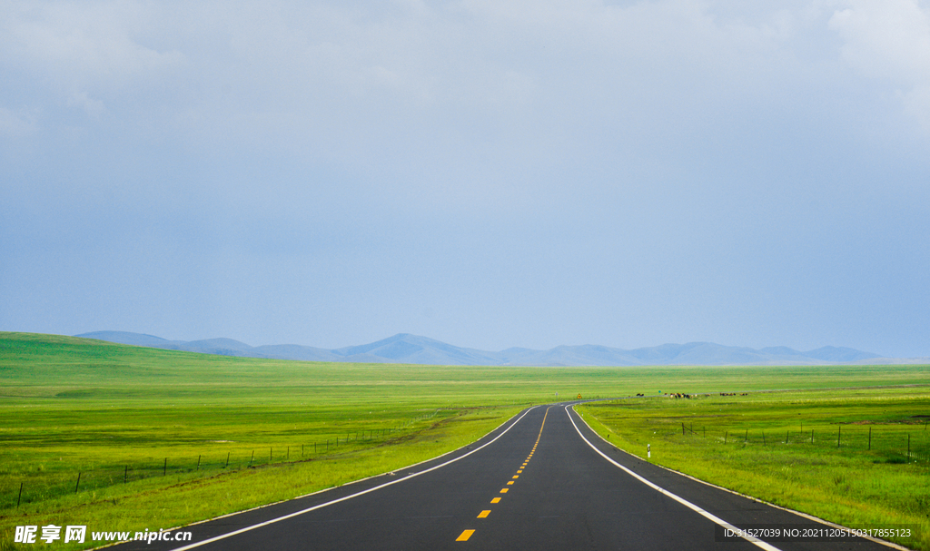 草原边的公路