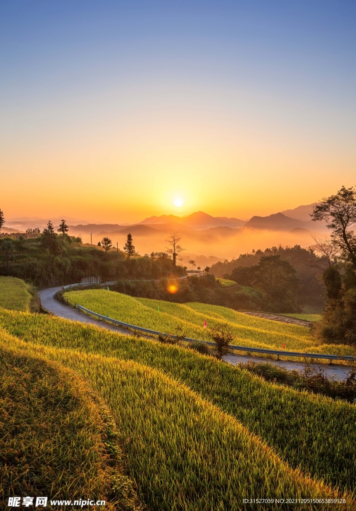 夕阳下的盘山路摄影