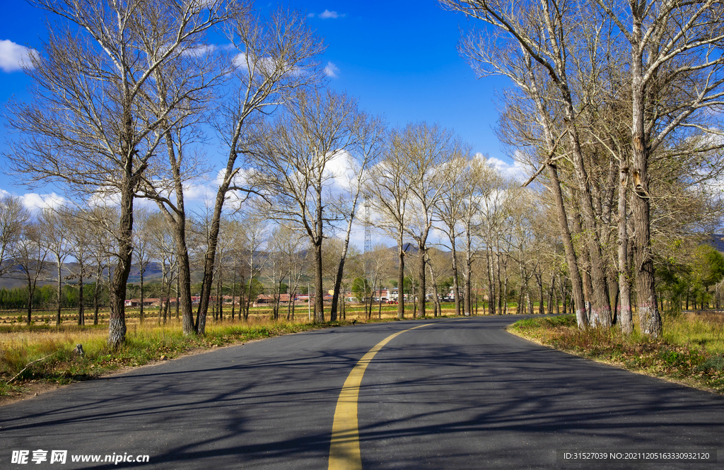 蓝天下的公路摄影图