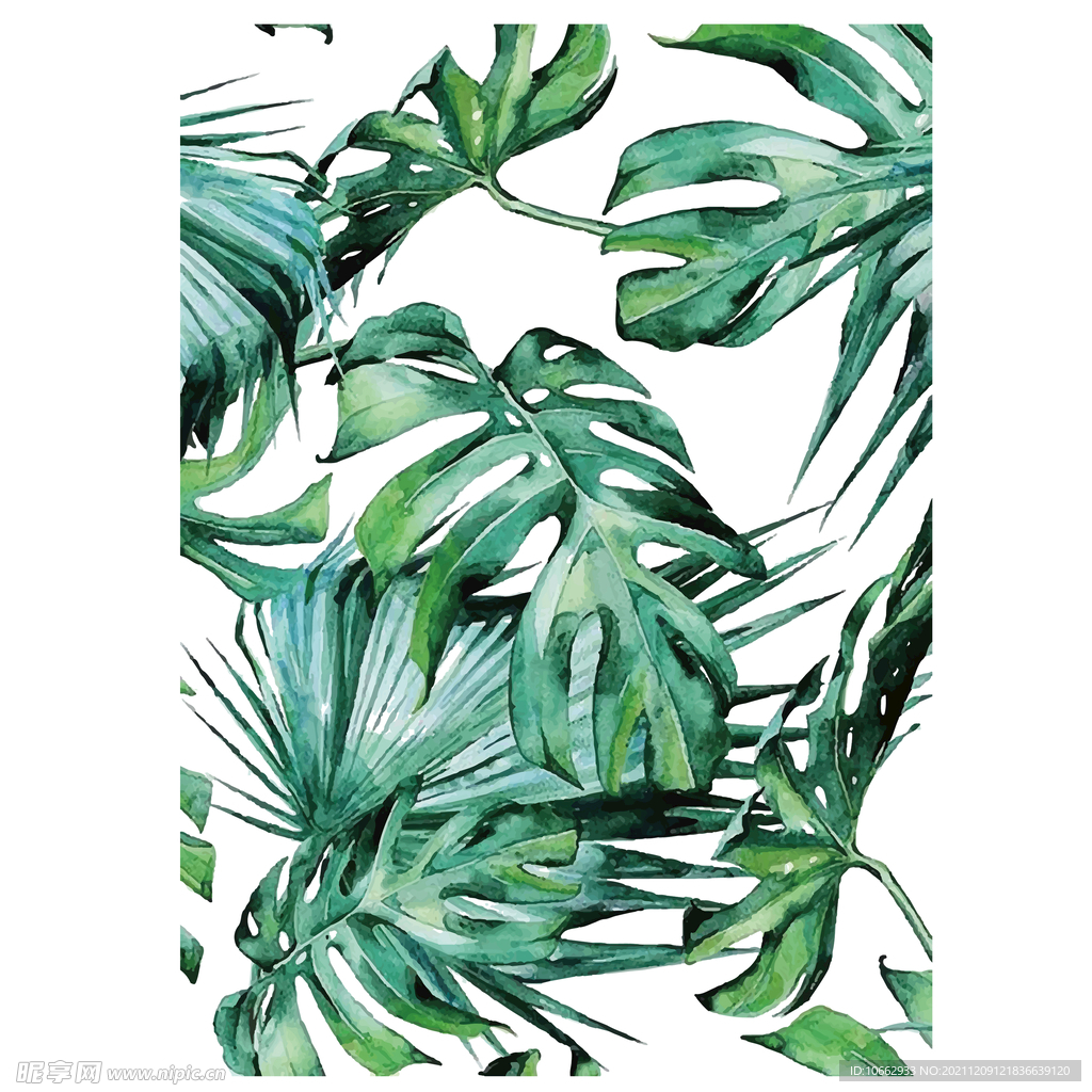 北欧热带龟背竹元素