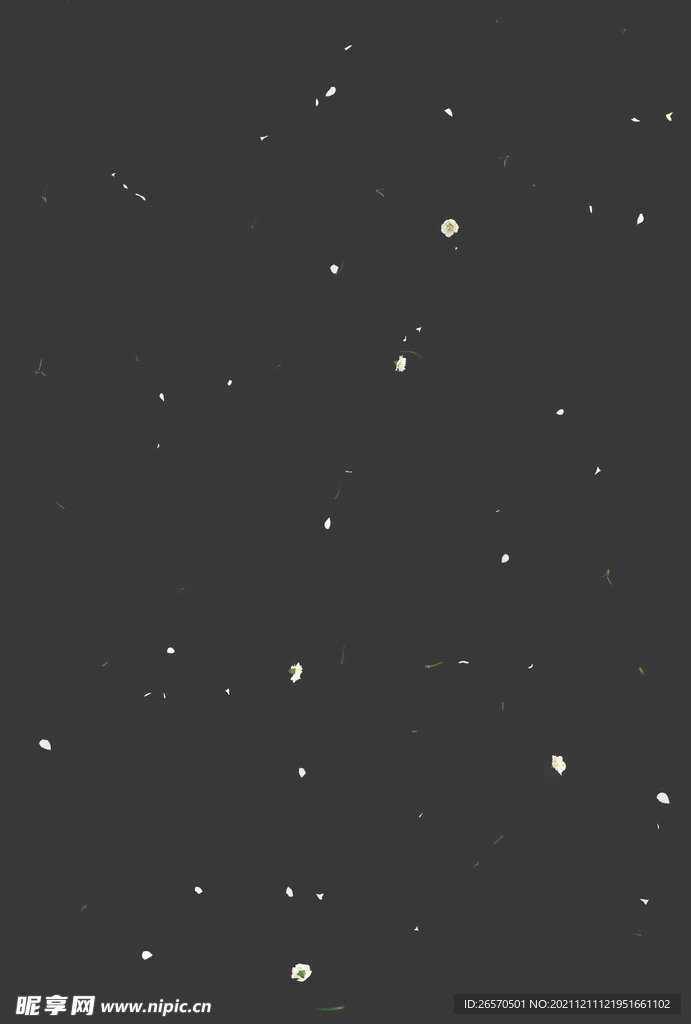 飘落的花和花瓣