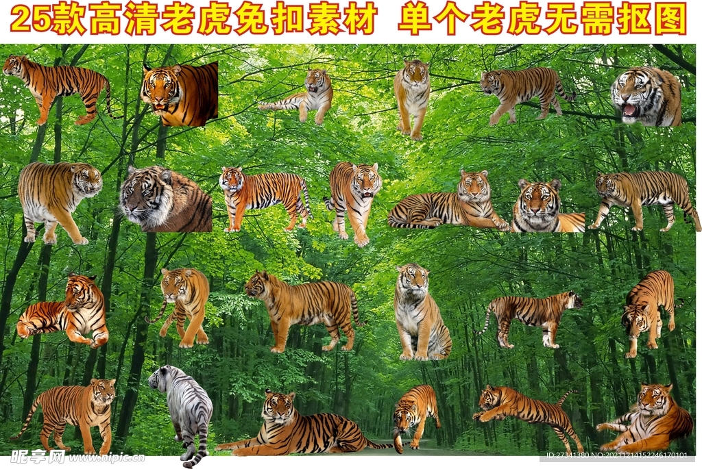 老虎素材