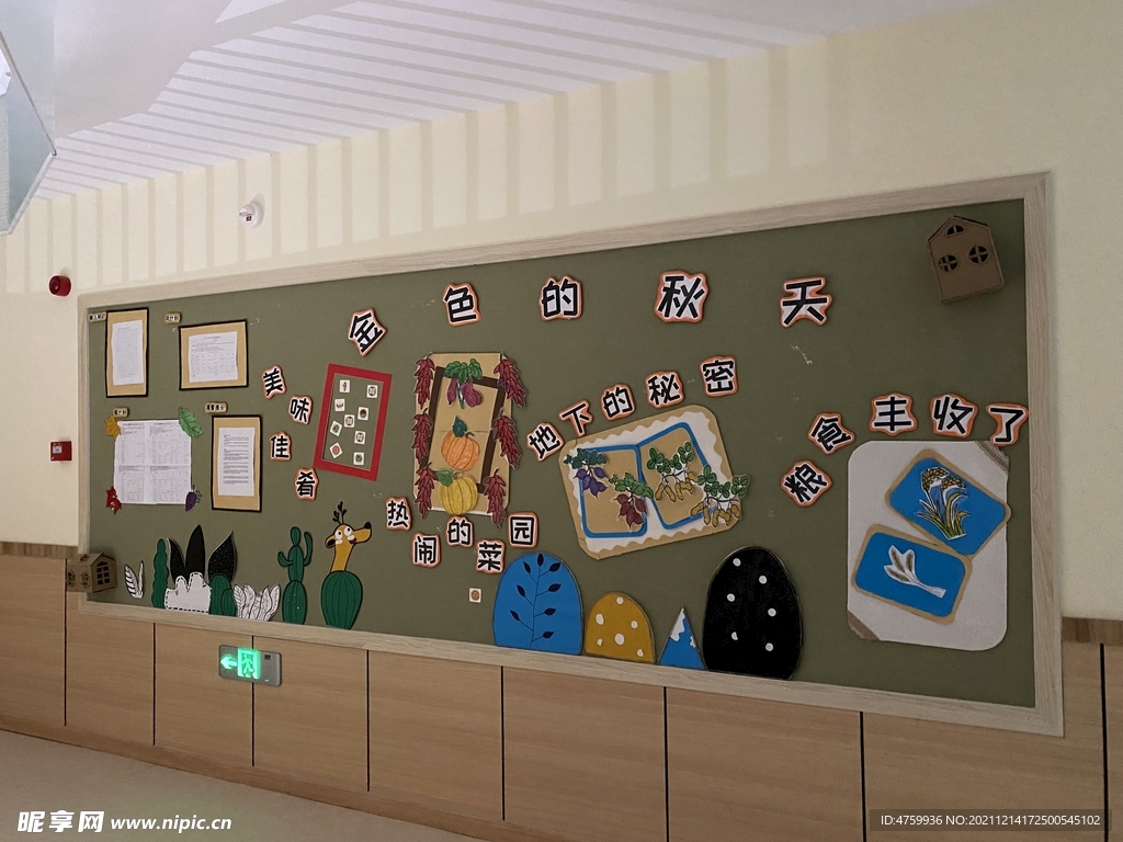 幼儿园主题墙