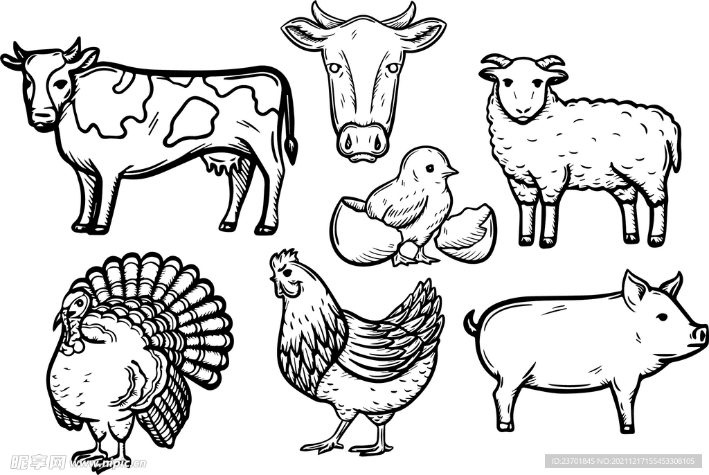 动物线稿矢量家禽家畜