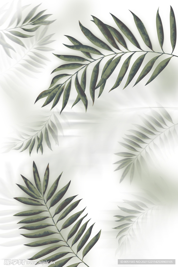 热带丛林棕榈叶