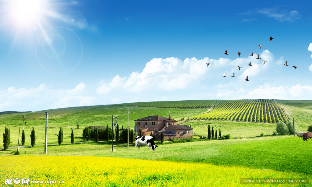 阳光下的绿色新农村