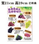 葡萄提子的甜蜜相约