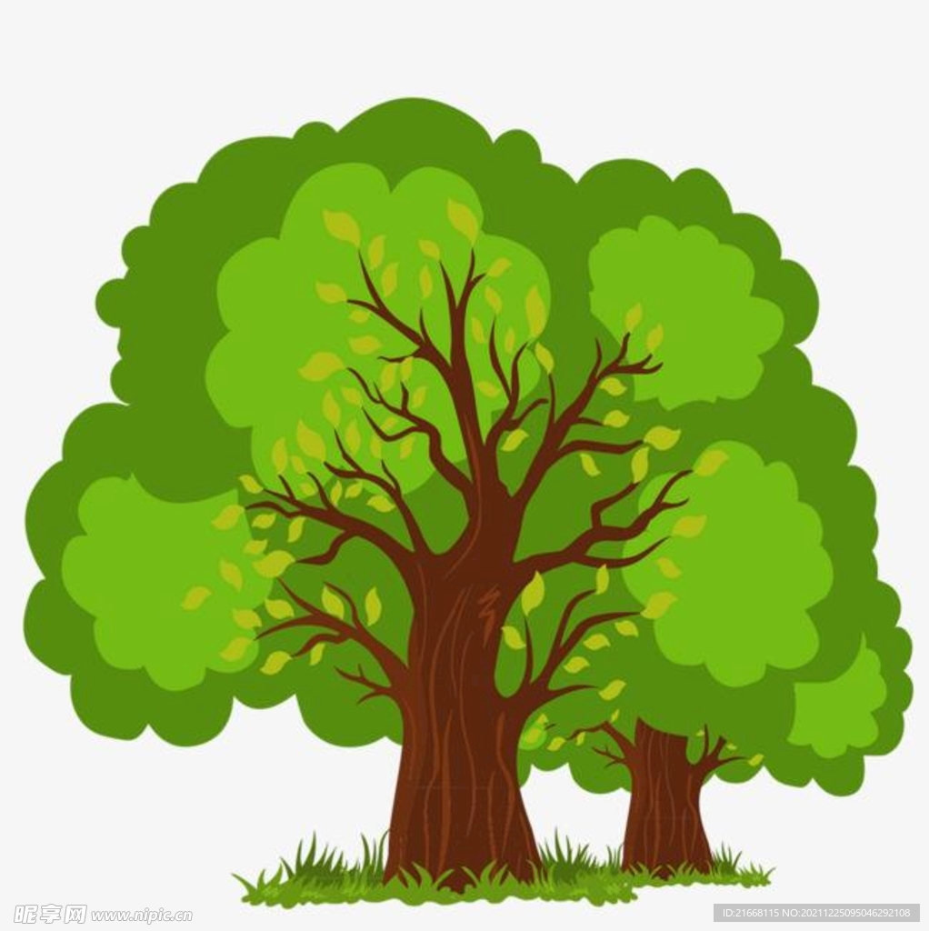 树 绿色 矢量 