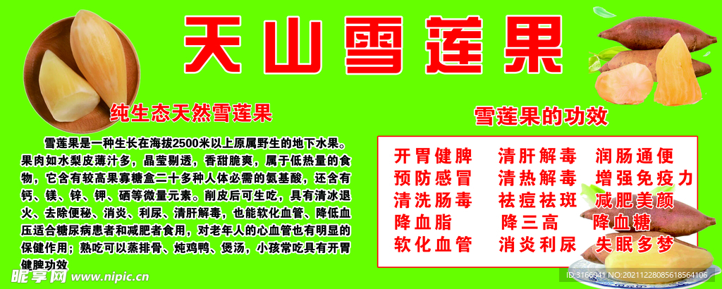 天山雪莲果