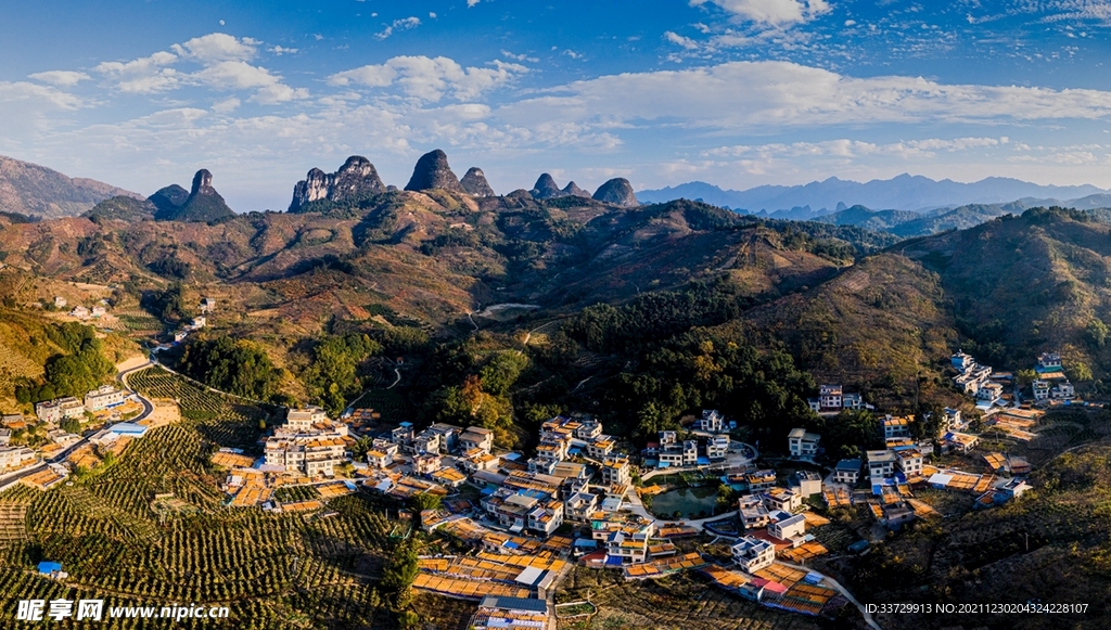 柿子筑起新农村