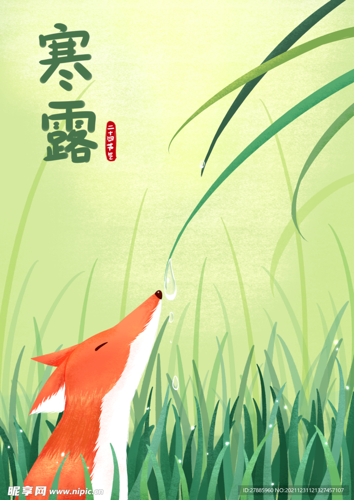 寒露户外狐狸与水滴插画