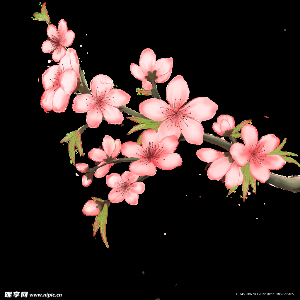 春天手绘插画桃花粉色