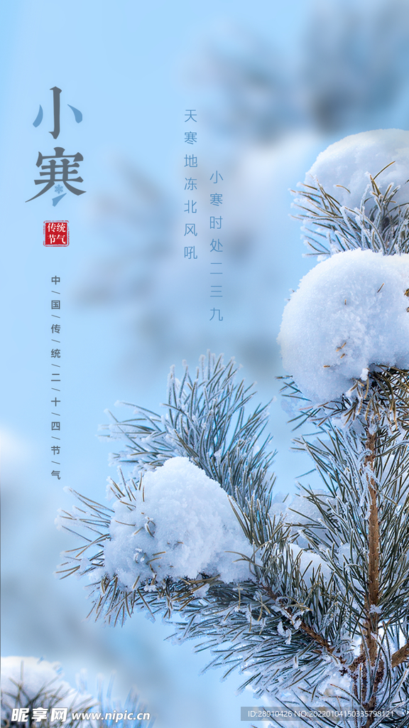 小寒节气海报