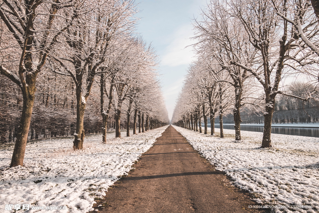 户外冬季街道自然背景素材