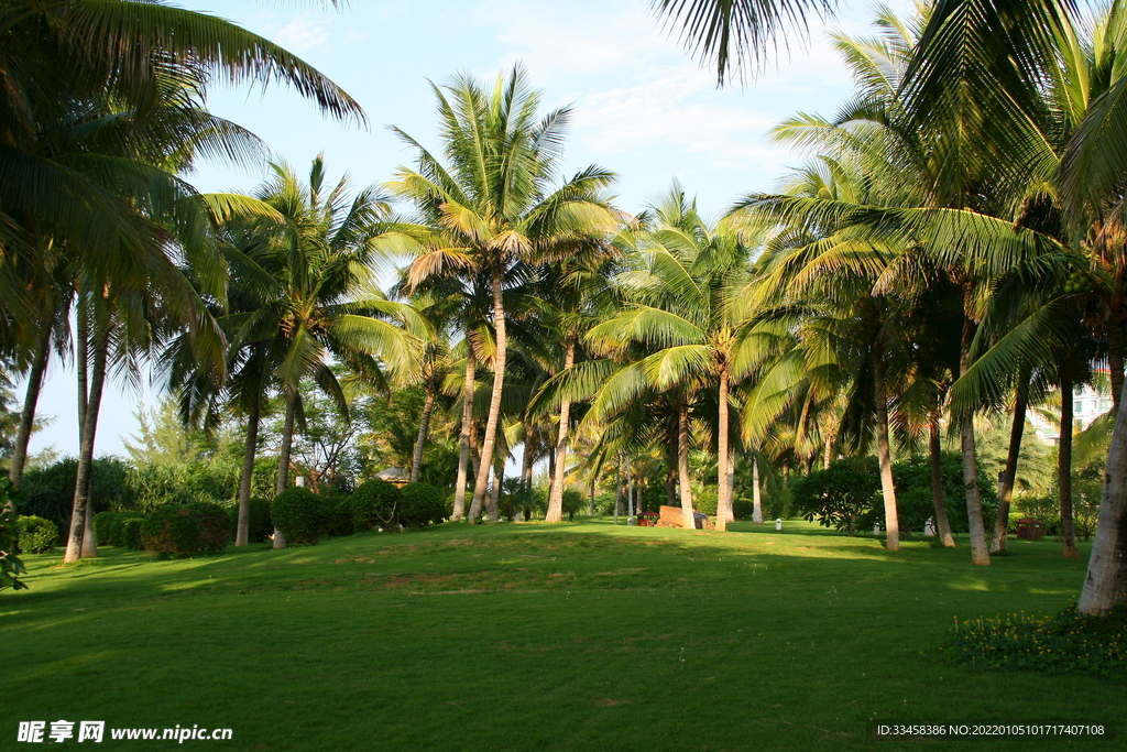公园 美丽的风景4K高清壁纸图