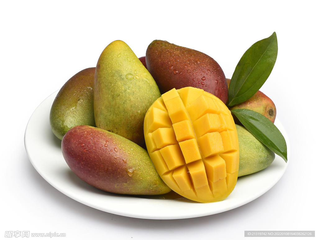 芒果摄影图