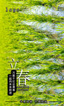 2022立春 节气 稻田 绿叶