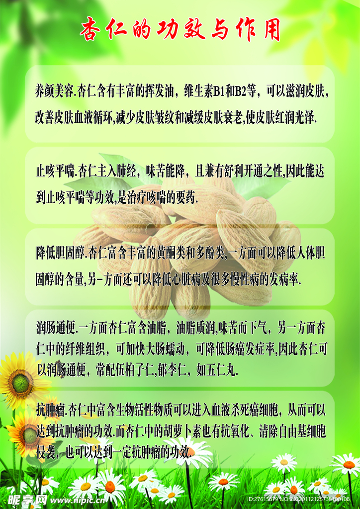 杏仁功的效与作用