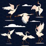 各种形态的仙鹤祥云