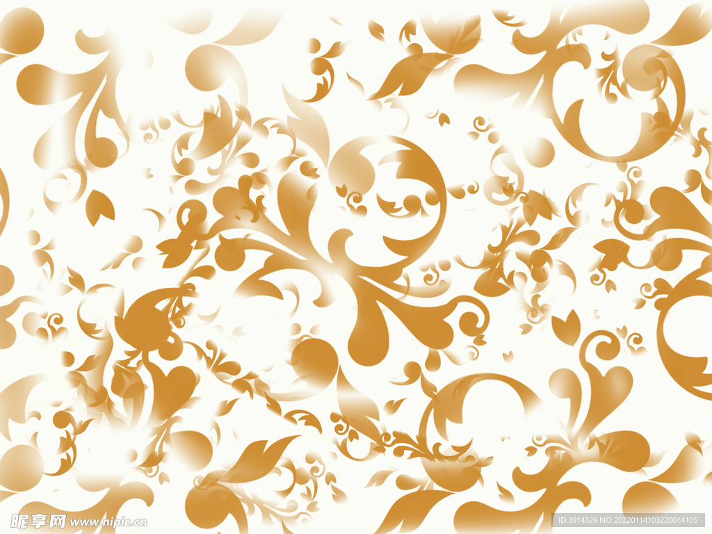 底纹花纹大花边