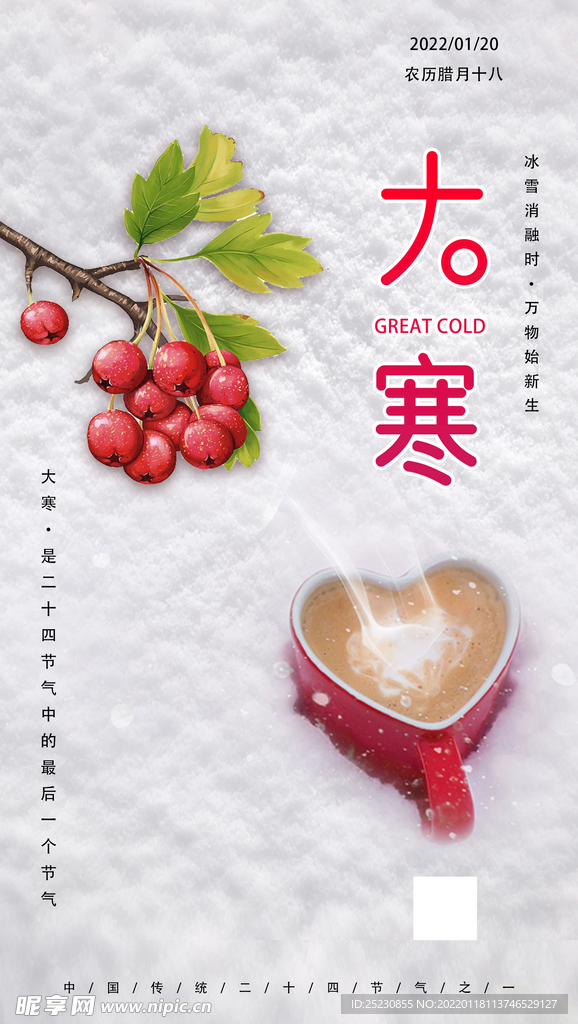 二十四节气大寒海报