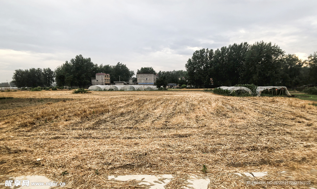 田园风光 农场 农庄 