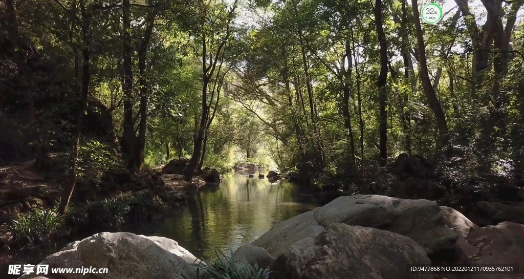 森林河流