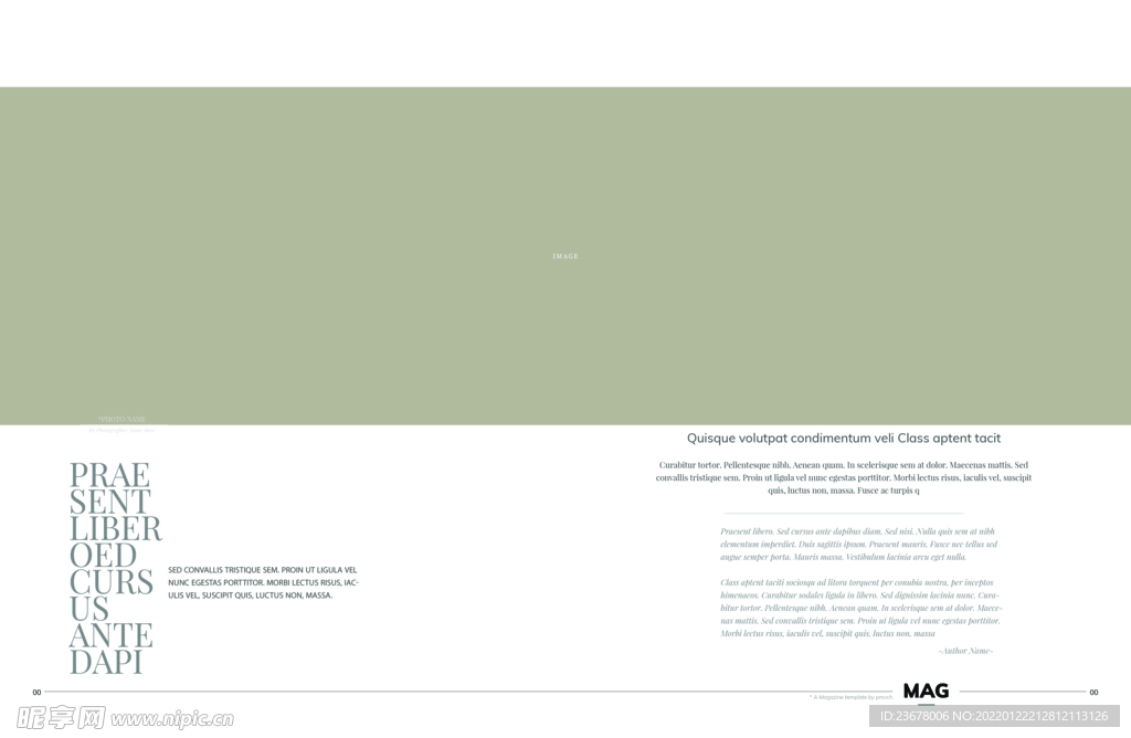 英文画册 简约艺术 ART  