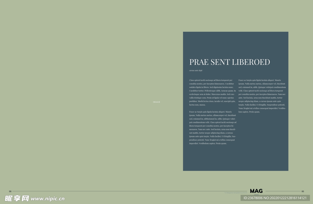 英文画册 简约艺术 ART  