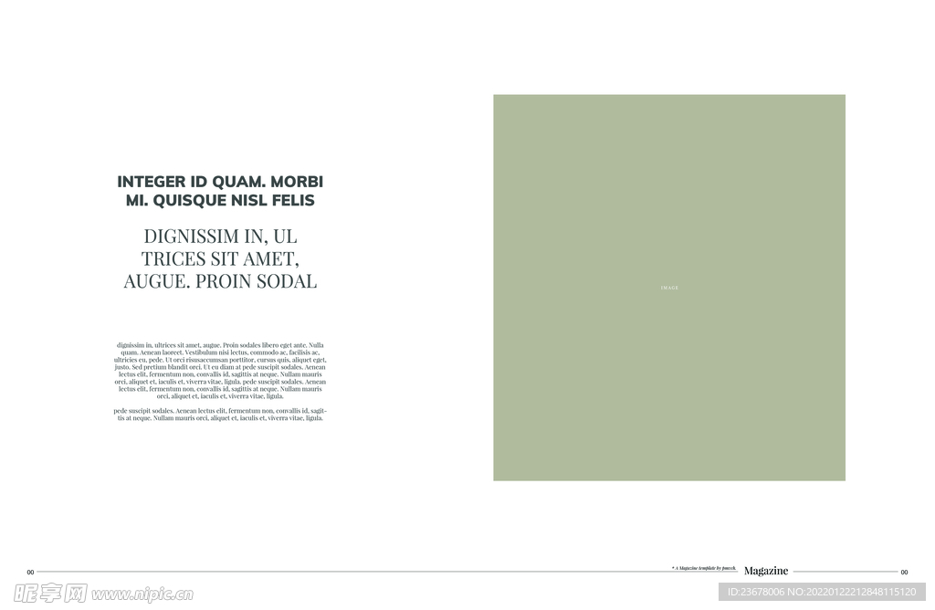 英文画册 简约艺术 ART  