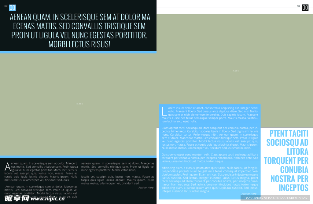 英文画册 简约艺术 ART 