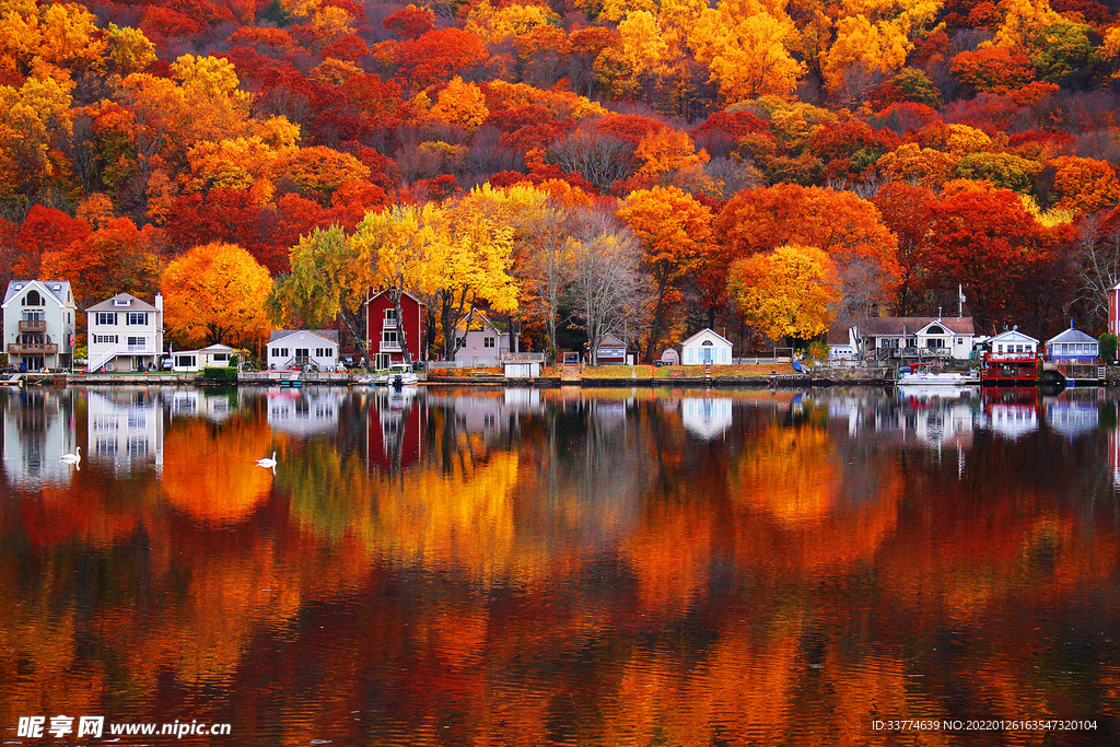 秋天的美丽的景色摄影