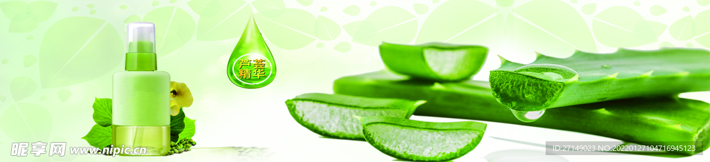 芦荟护肤
