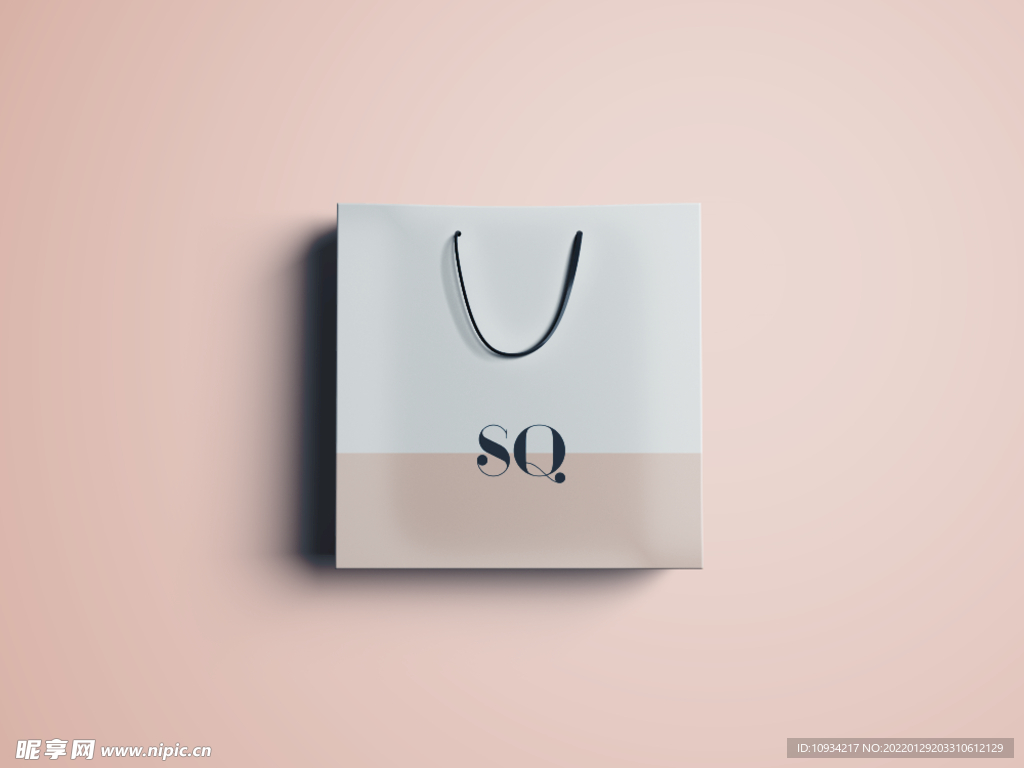 样机 VI 提案 手提袋