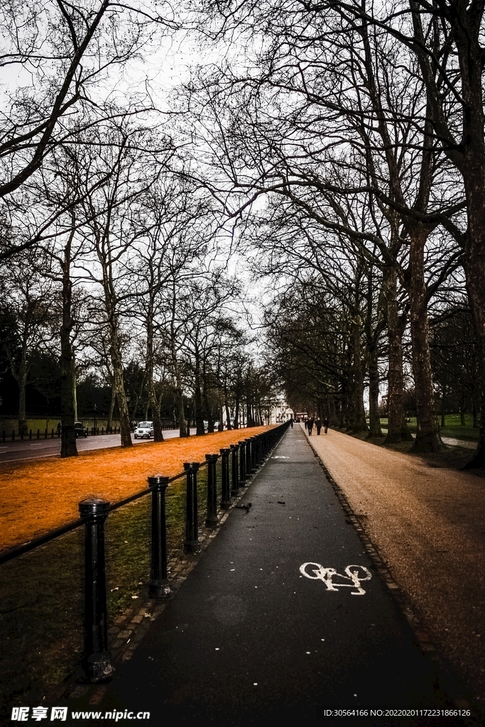 户外道路秋季落叶背景素材