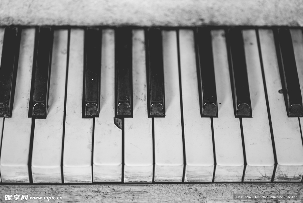 钢琴键盘           