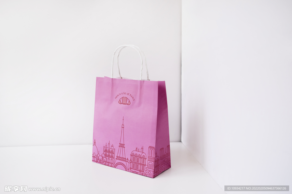 样机 提案 标志 VI 手提袋