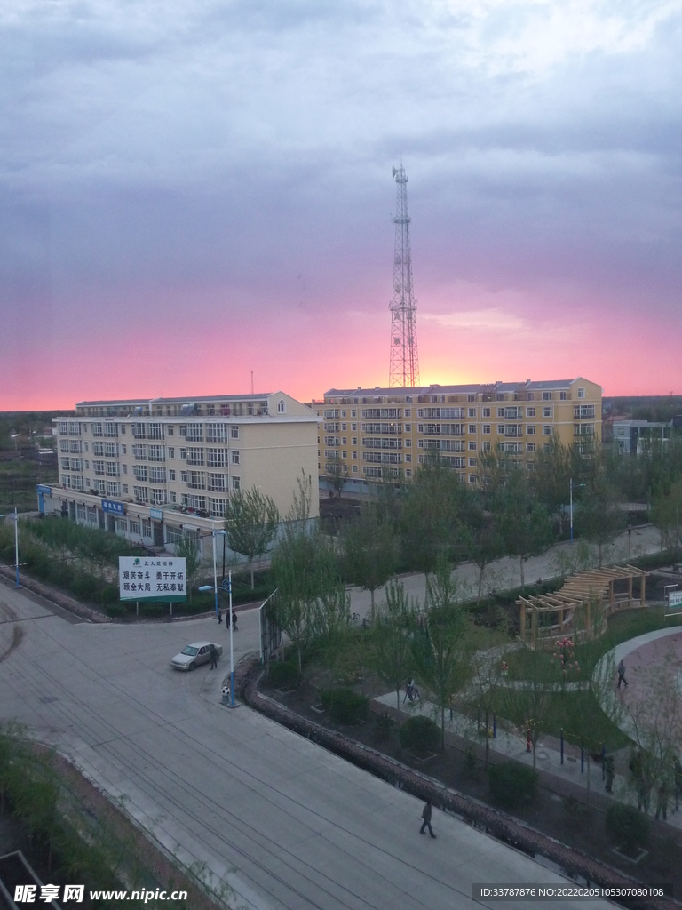 夕阳下得依安农场