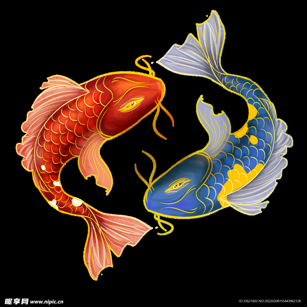 锦鲤  金鱼插画  国潮素材 